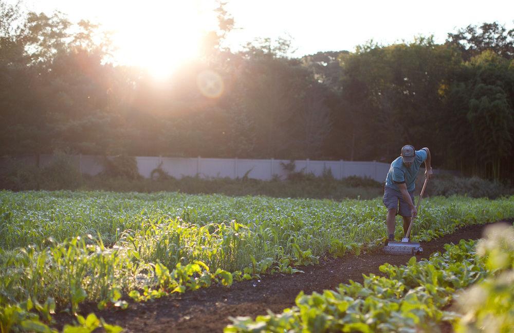 Topping Rose House Hotel Bridgehampton Luaran gambar